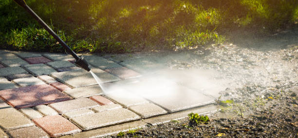 Animal Enclosure Cleaning in El Granada, CA